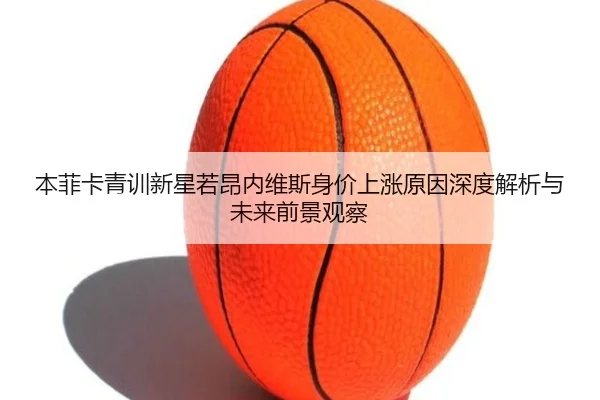 本菲卡青训新星若昂内维斯身价上涨原因深度解析与未来前景观察