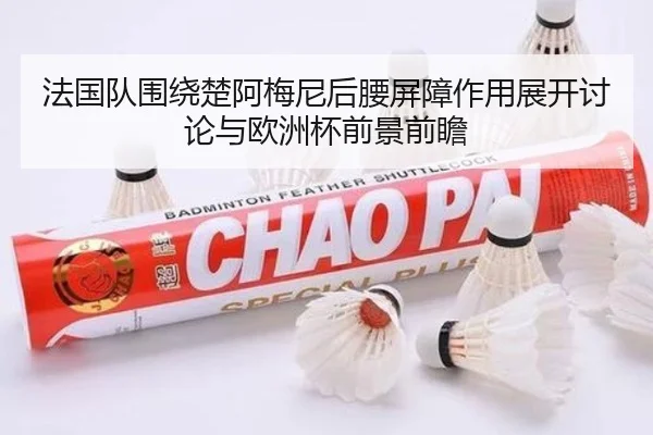 法国队围绕楚阿梅尼后腰屏障作用展开讨论与欧洲杯前景前瞻
